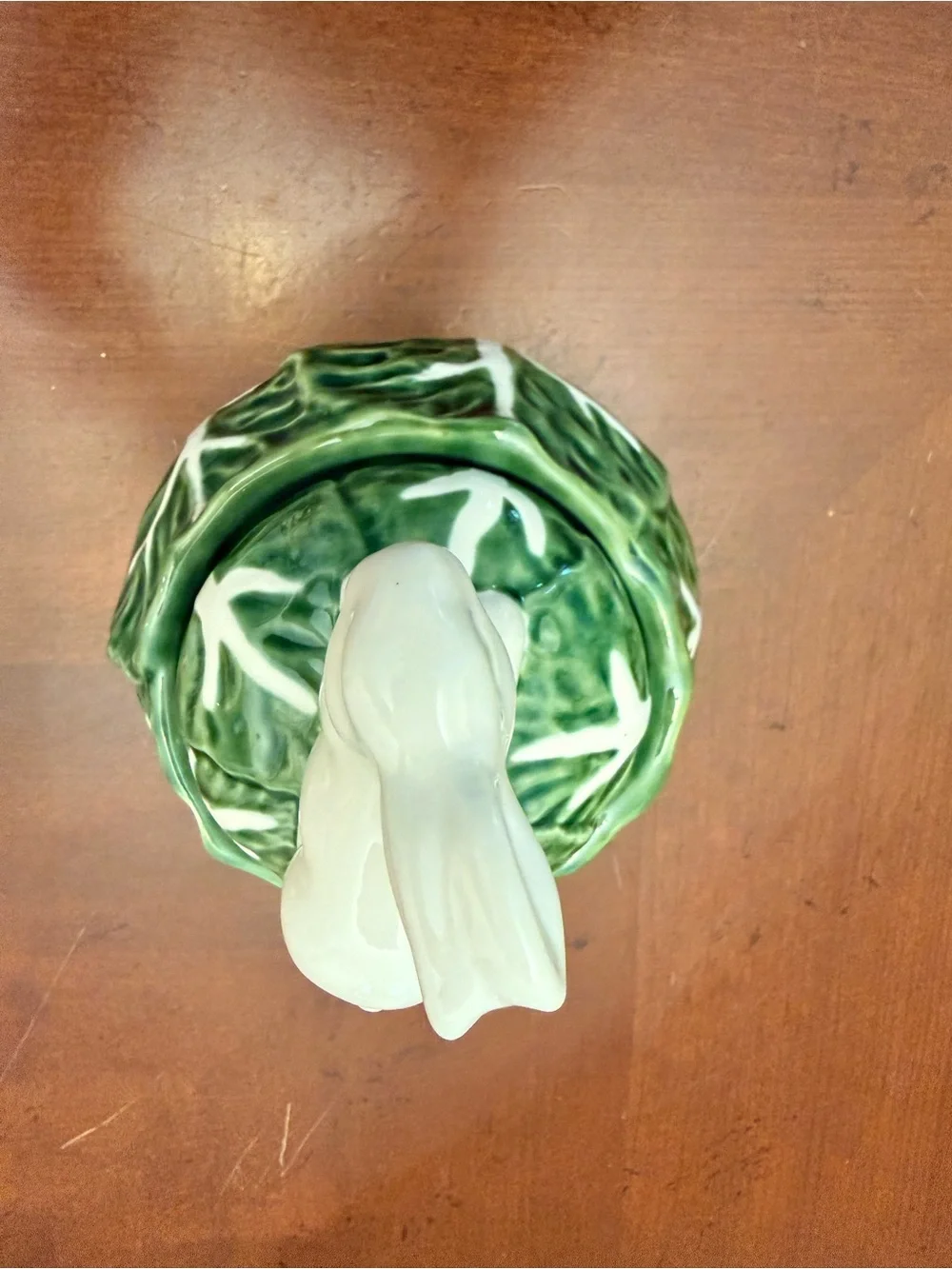 Maxcera charming cabbages